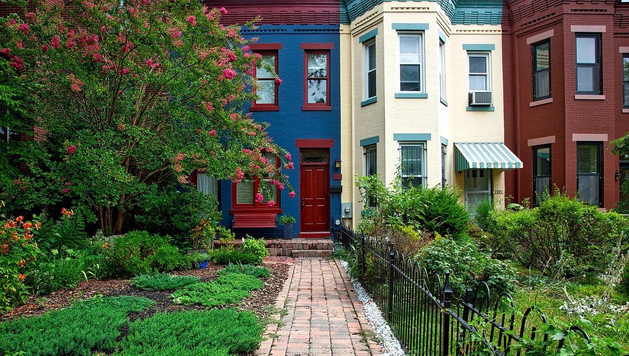 Sustainable Horticulture in Your Urban Backyard