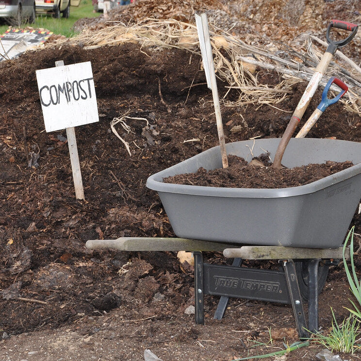 The Sustainable Guide to Composting: Turning Waste into Gold
