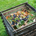 The Sustainable Guide to Composting: Turning Waste into Gold