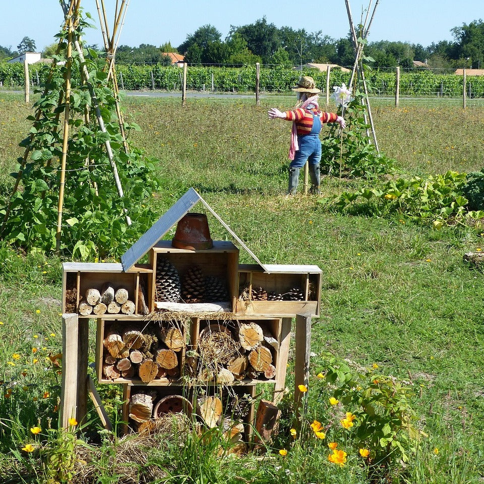 Course on Sustainable Horticulture