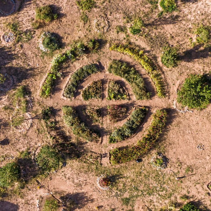 Permaculture: Sustainable Design for a Resilient Future