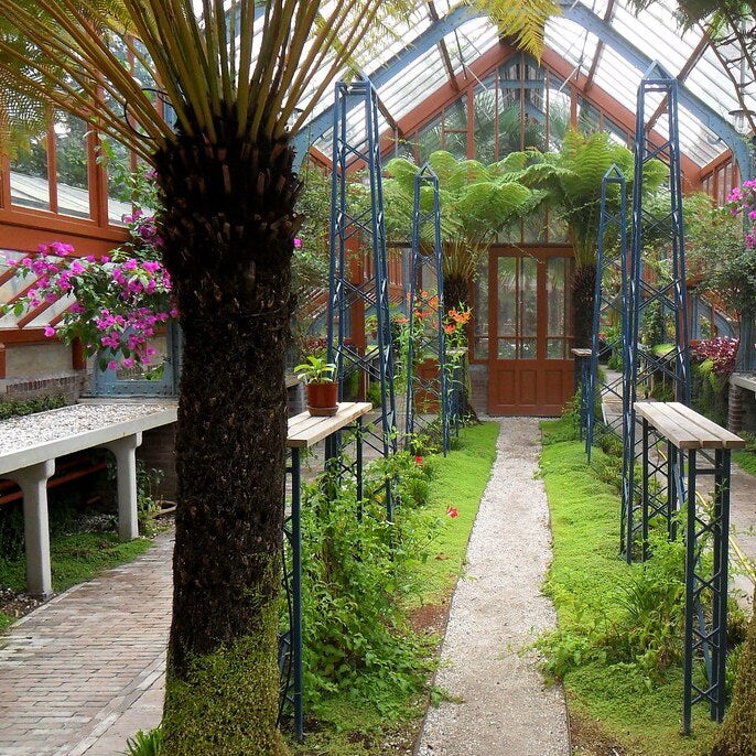 Permaculture: Sustainable Design for a Resilient Future